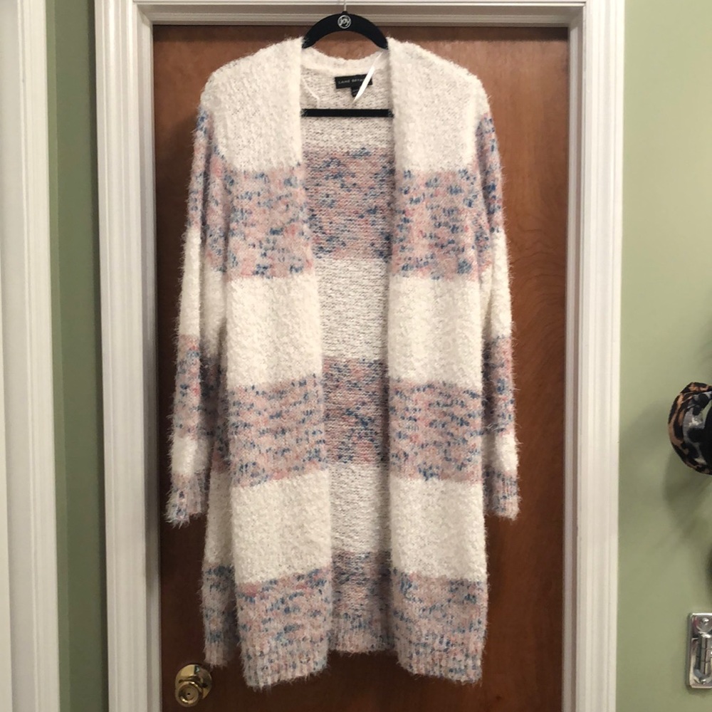 Lane Bryant sweater, size 18/20